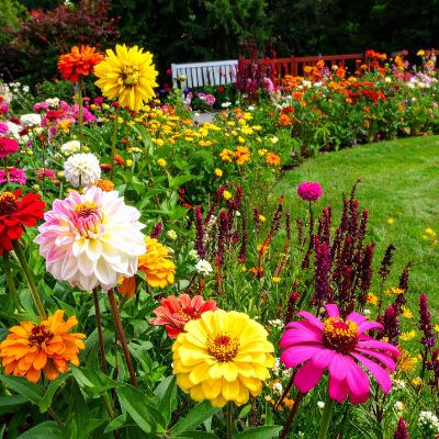 Landscaped Gardens